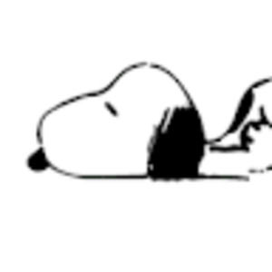 Meet your Posher, Sasha